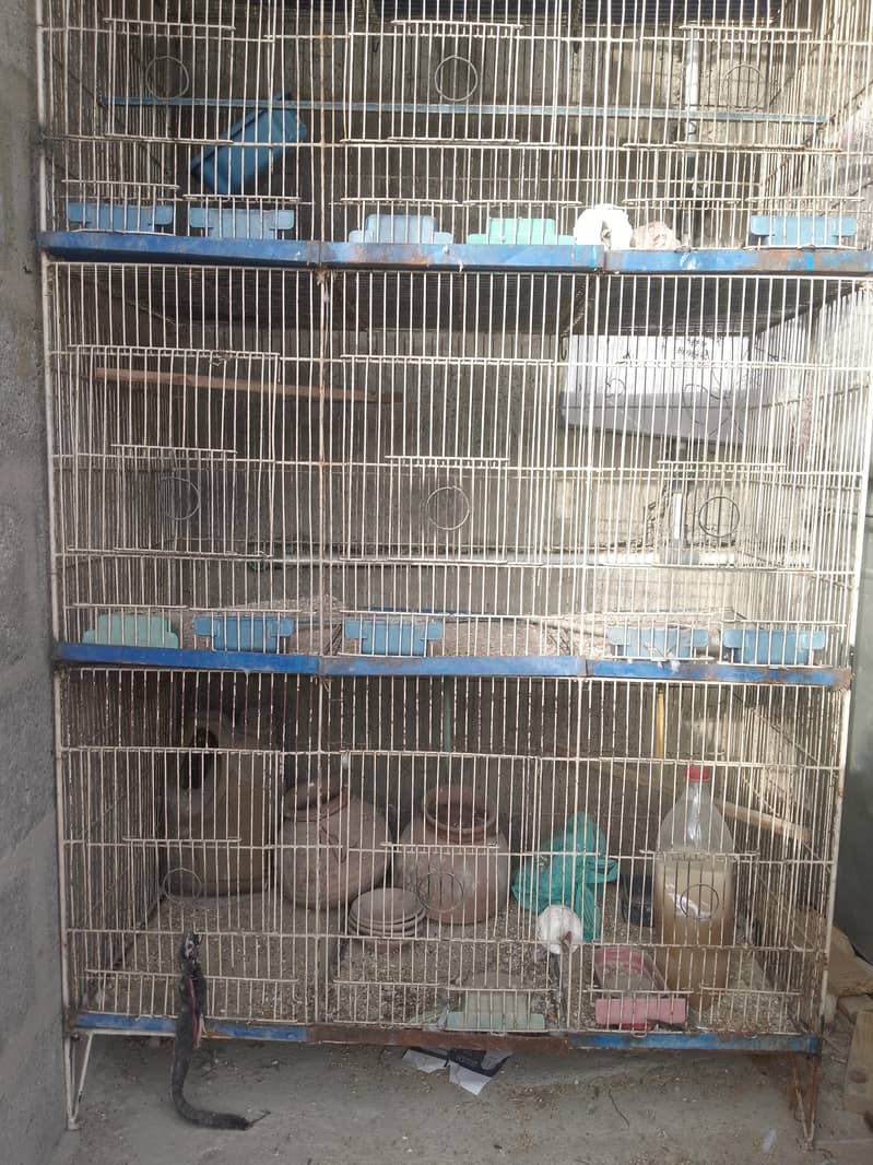 4 portion cage 1