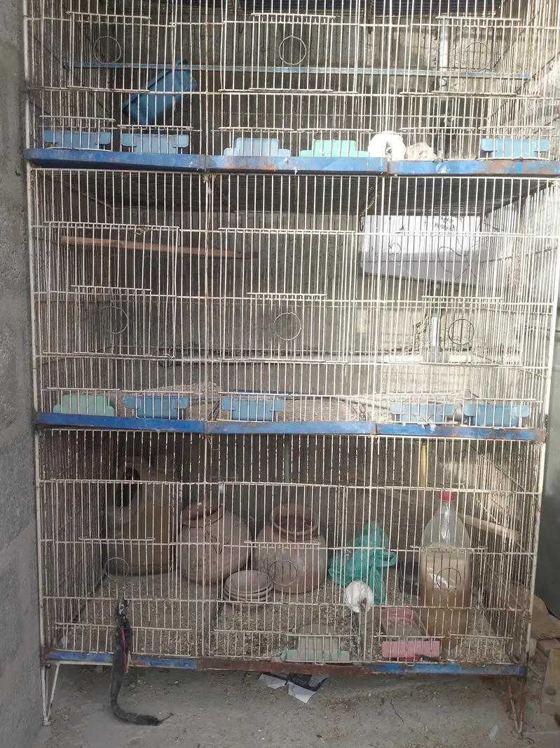 4 portion cage — photo 2