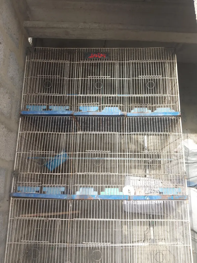 4 portion cage — photo 3