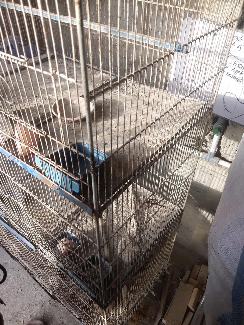 4 portion cage — photo 4
