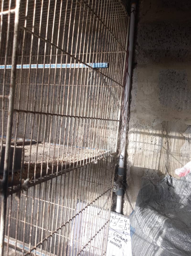 4 portion cage 4