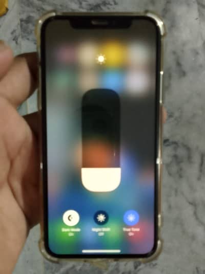 Apple iPhone XS
