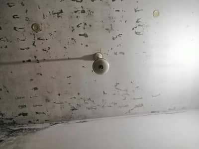 ceiling fan