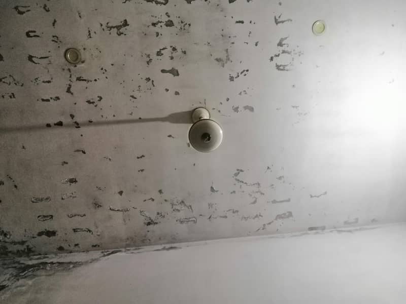 ceiling fan 0