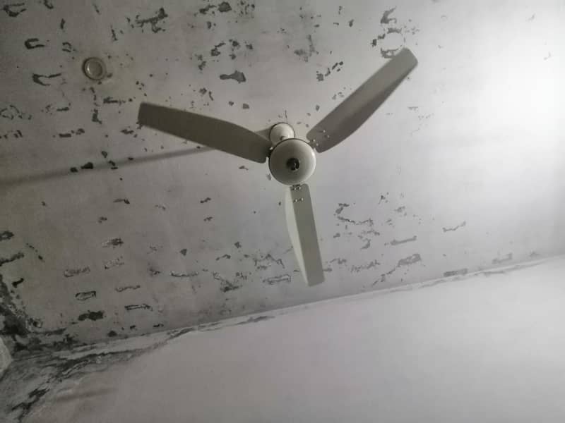 ceiling fan 1