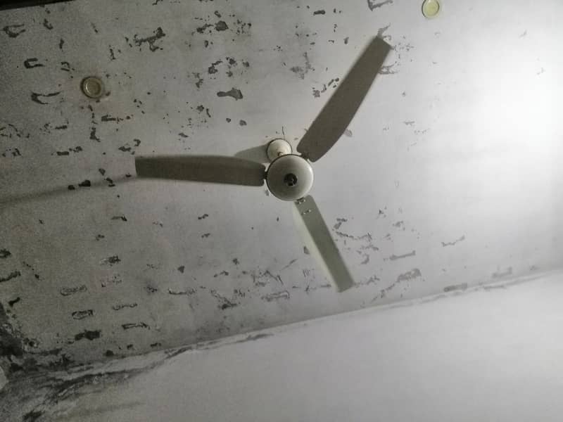 ceiling fan 2