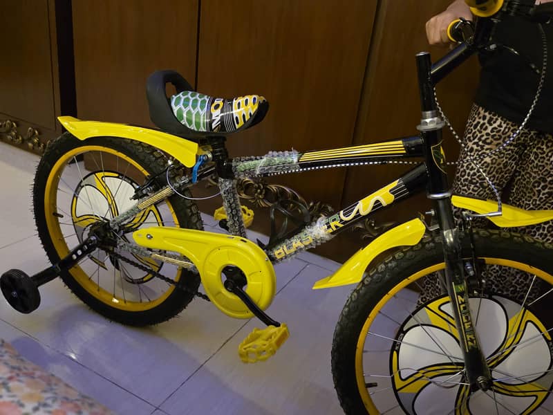 bicycle 1
