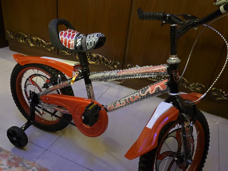 bicycle 1