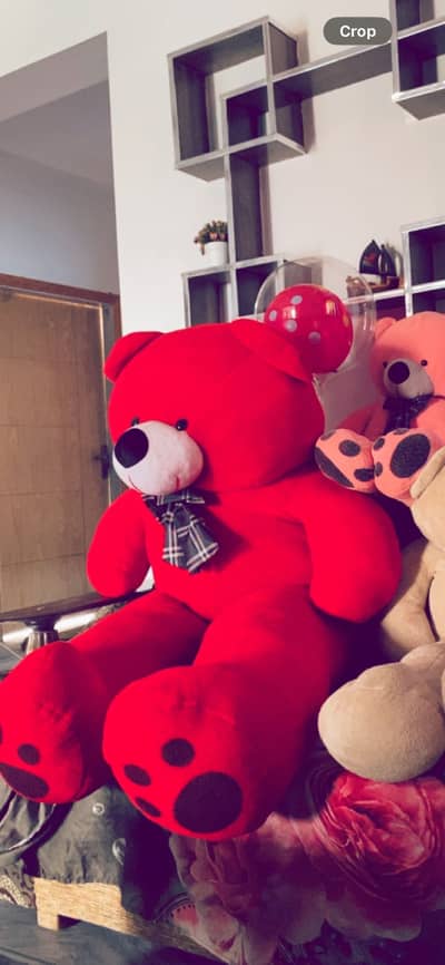 6 ft Teddy bear