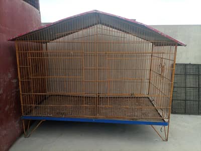 Ringneck parrot cage