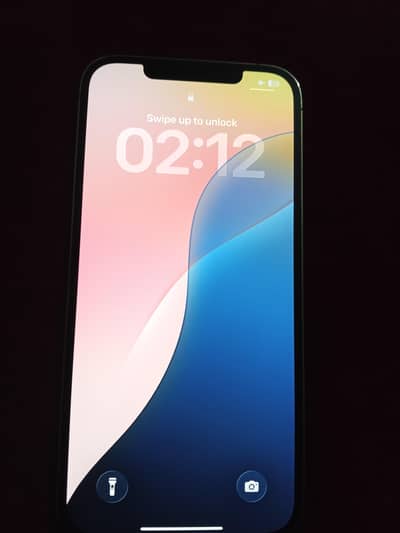 Apple iPhone 12 Pro Max
