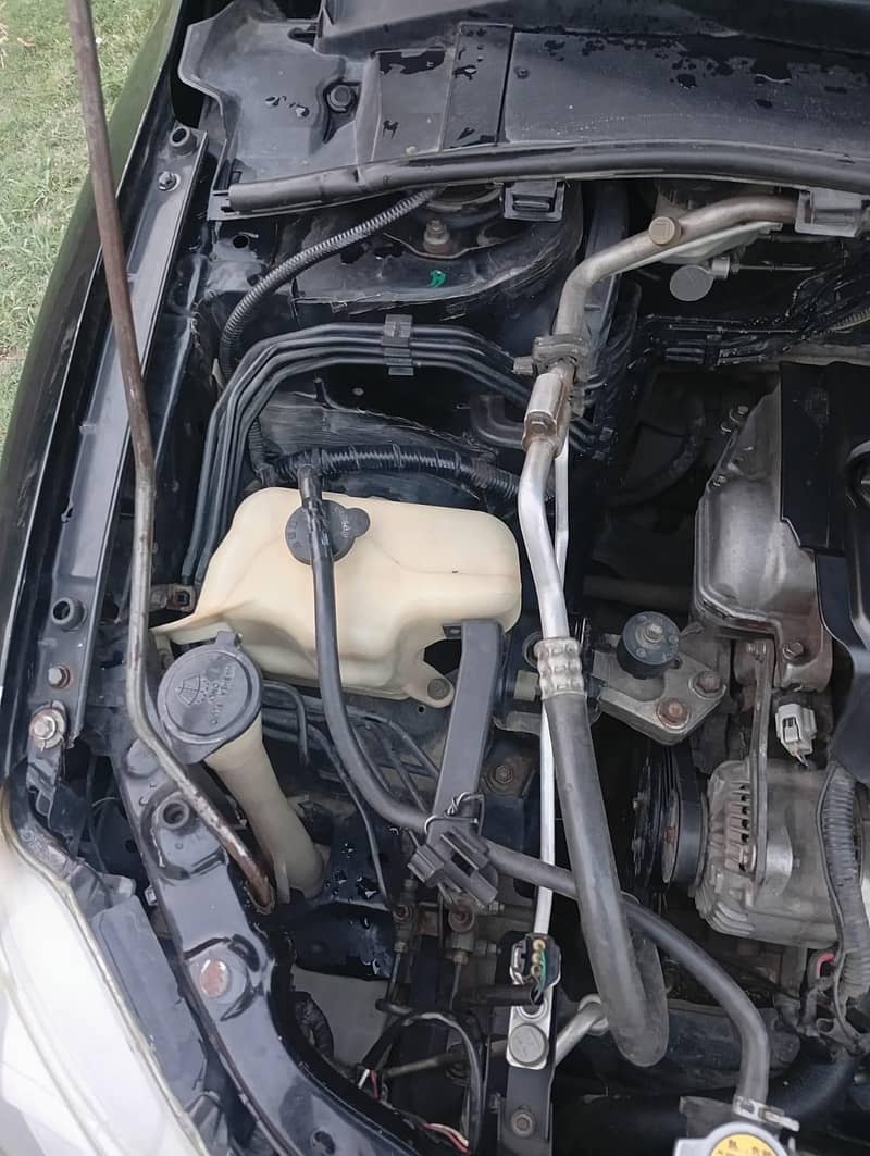Toyota Corolla cli 8