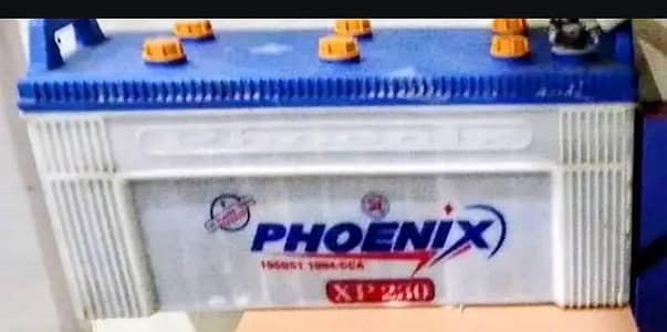 phoenix XP 230  175 Amp 27 plates