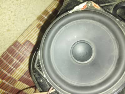 4 inch's woofer