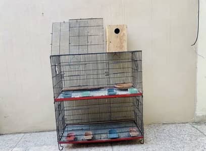 Double story cage with breeder box