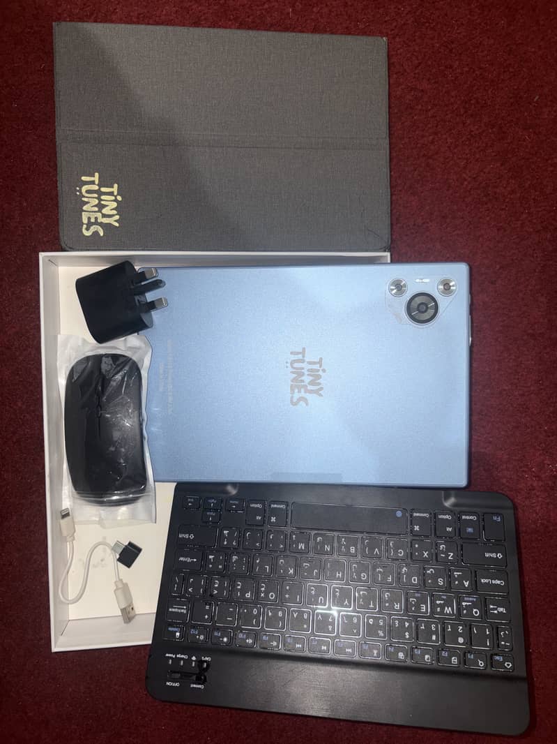 Tiny tunes tablet 10/10 2