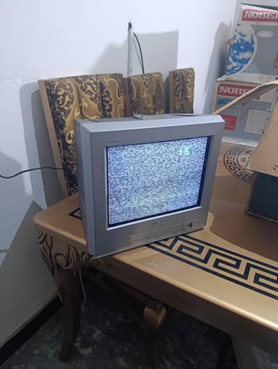New TV