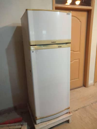 Fridge with Top Freezer