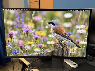 Dell 27 Inch IPS Display Monitor Available for Sale