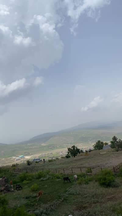 usama
