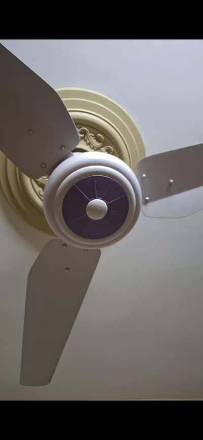 Sk fan