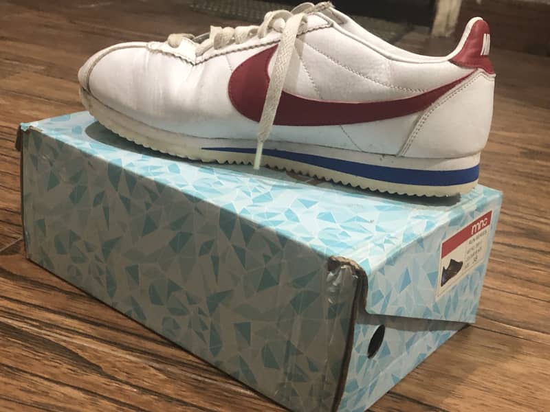 Shoes 5
