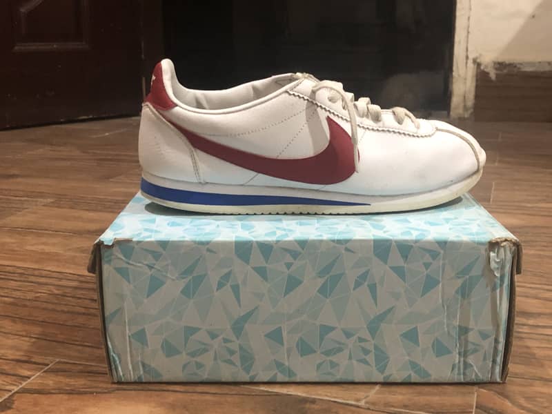 Shoes 6