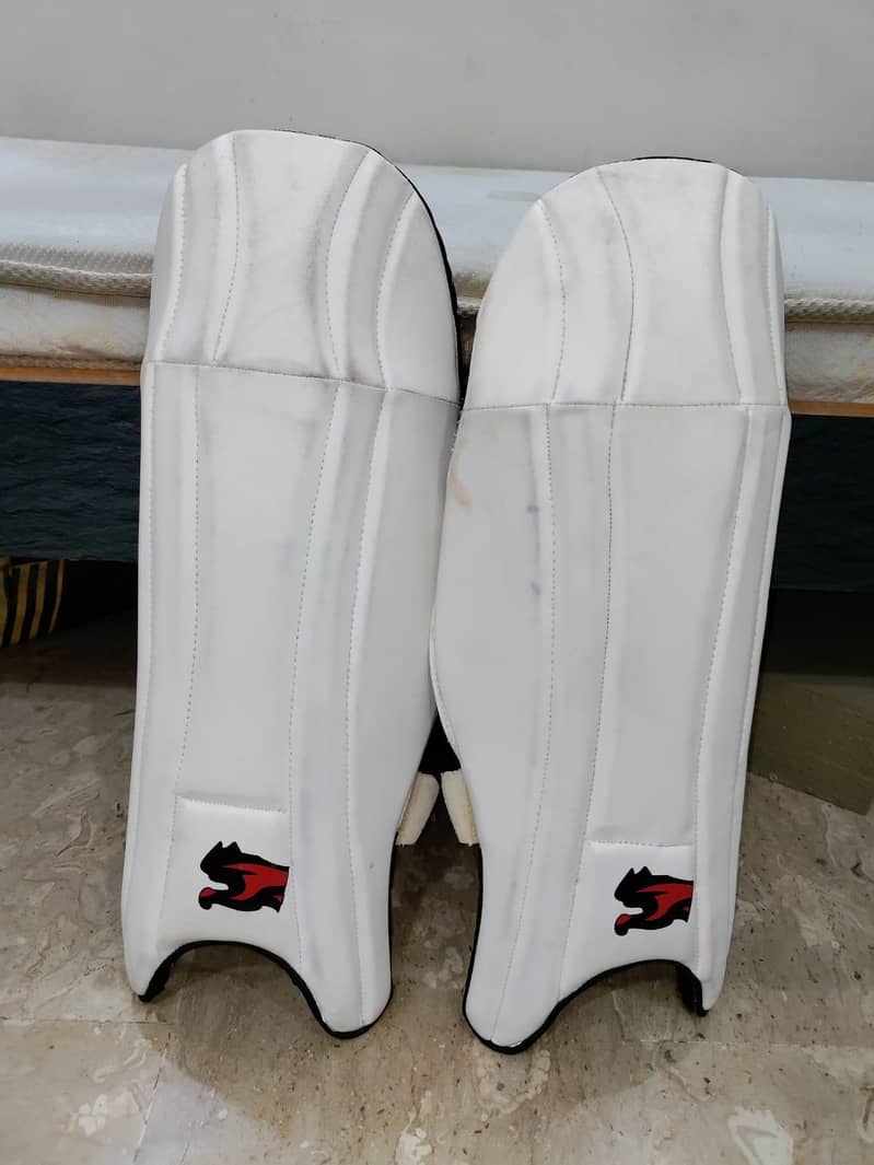 Complete Cricket Kit 3