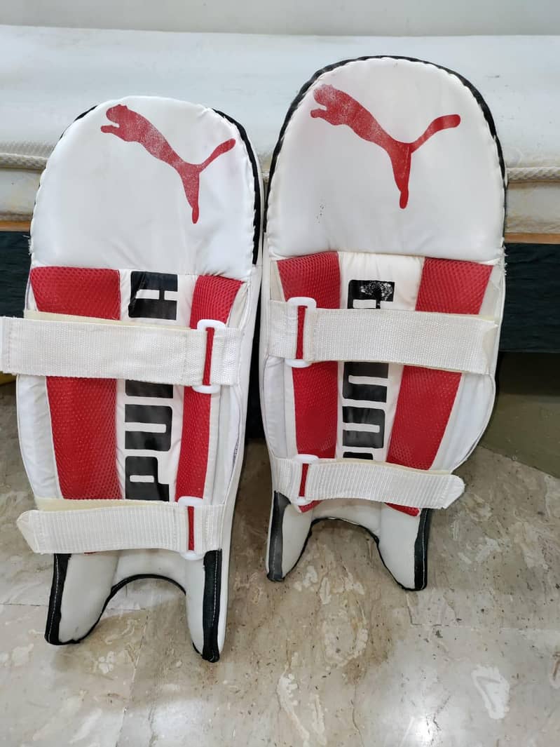 Complete Cricket Kit 4