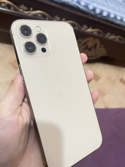 Apple iPhone 12 Pro Max