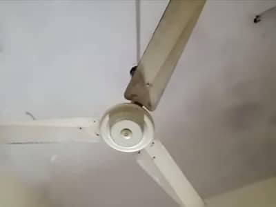 Ceiling Fan / only exchange to "room coller"