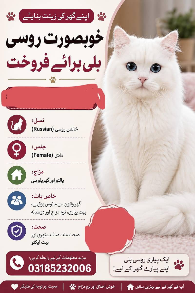 Russian CAT 1