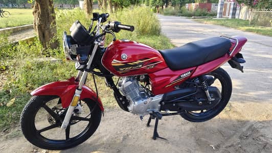 Yamaha yb125z DX 2021 03085849508
