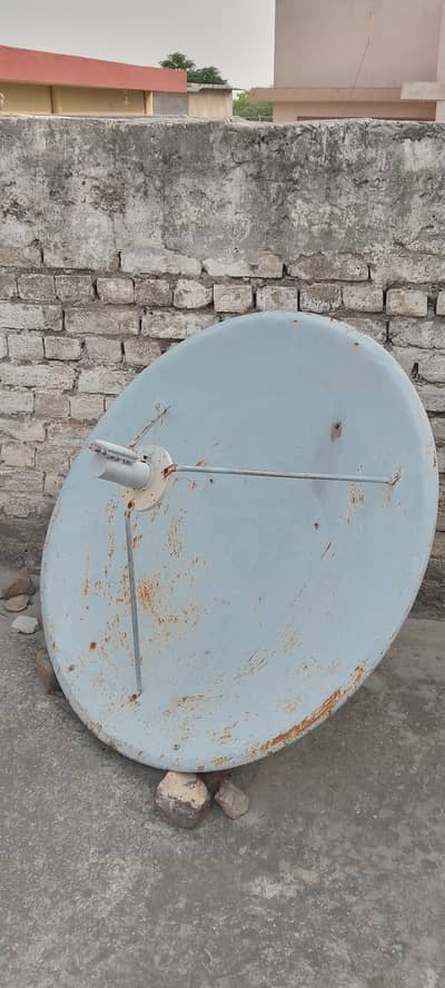 Dish 4'