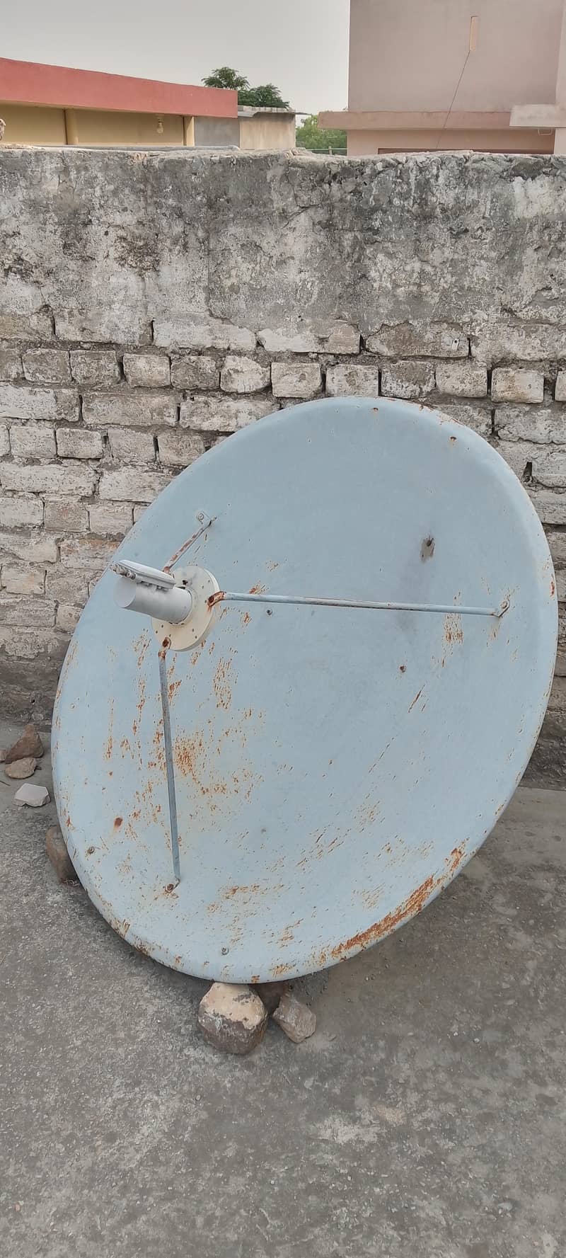 Dish 4' 0