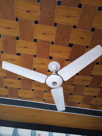 6 Pak Fan Ceiling Fans for Sale – Good Condition