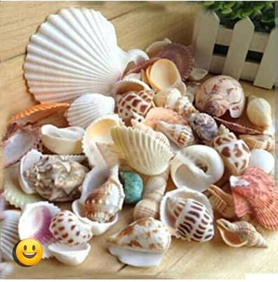 Home Decoration Items - Artificial Flowers - Seashells  - Gel Candles