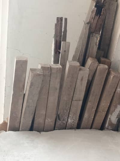 200 per Kg TR & Garder And BaLyy Tiles