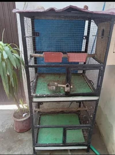 Bird cage