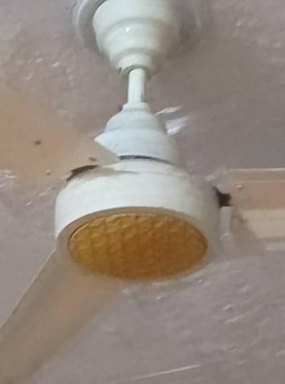Ceiling Fan