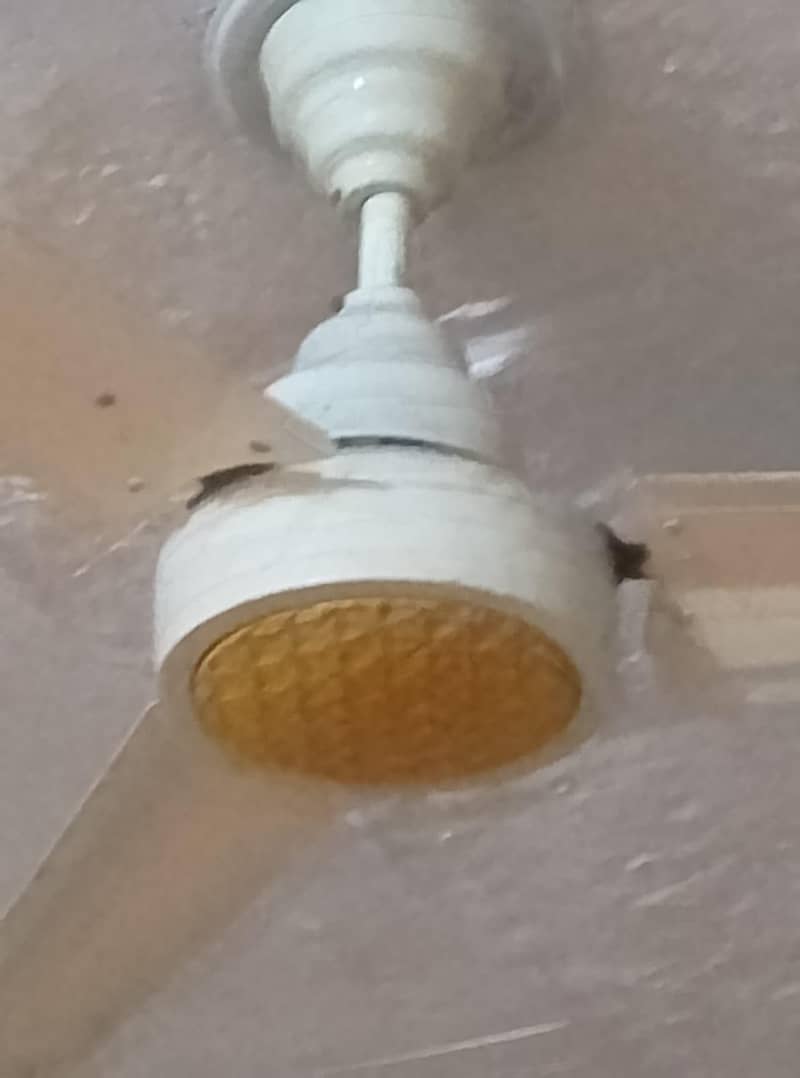 Ceiling Fan 0