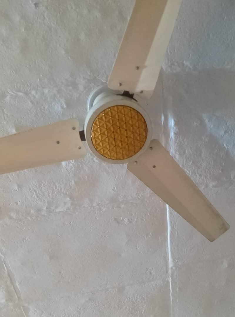 Ceiling Fan 1