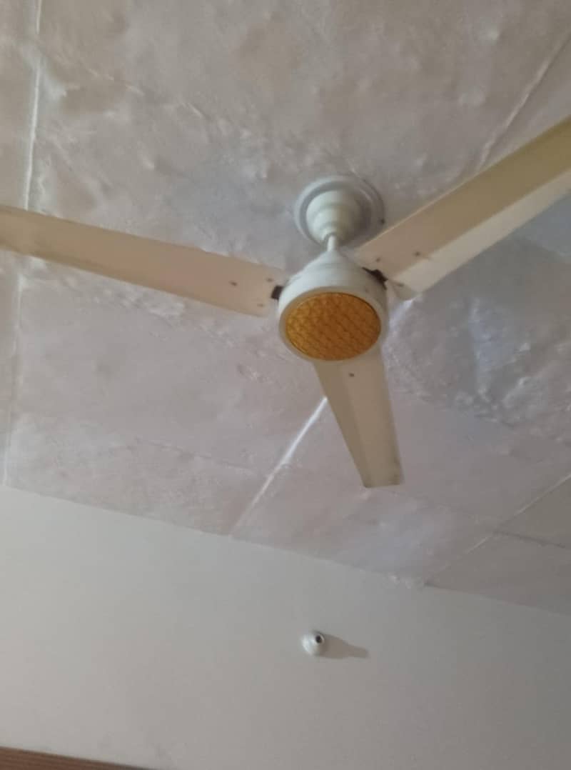 Ceiling Fan 2