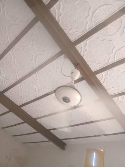 Pak Fan  ceiling Fan