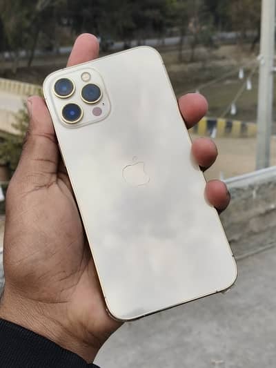 Apple iPhone 12 Pro Max