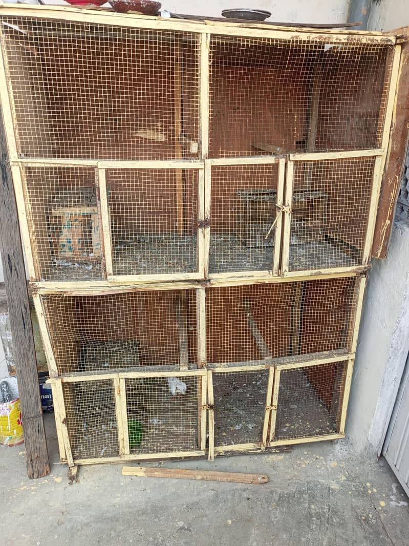 cage ha 1