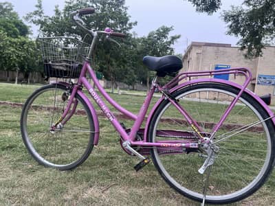 Imported cycle for females