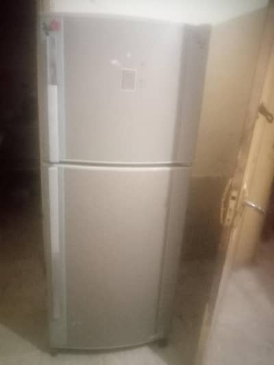 exilint conditions and best working fridge