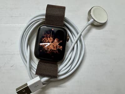 Apple Watch Series 5 Stainless Steel