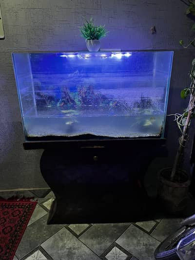 Aquarium